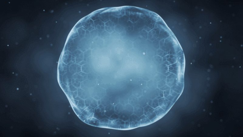 细胞工厂：开启生物制药新纪元