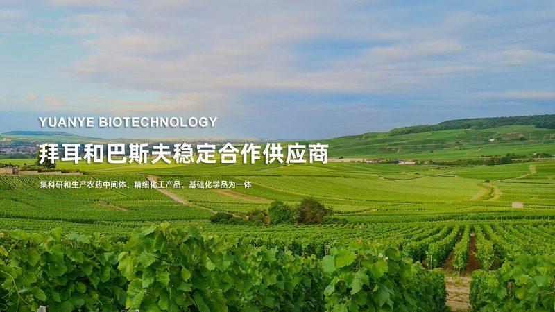塑料实验室耗材，规格型号背后的秘密