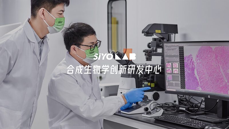 临床前药物研发外包公司推荐