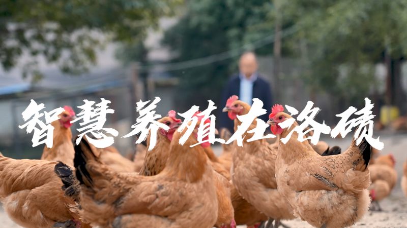 网站转化率优化工具：揭秘提升医药研发效率的关键