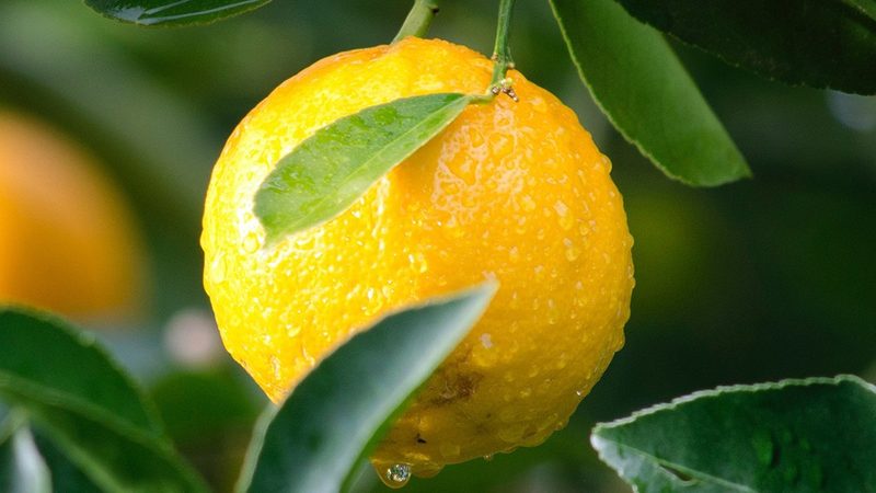 生物科技护肤品崛起：揭秘十大品牌背后的技术奥秘**