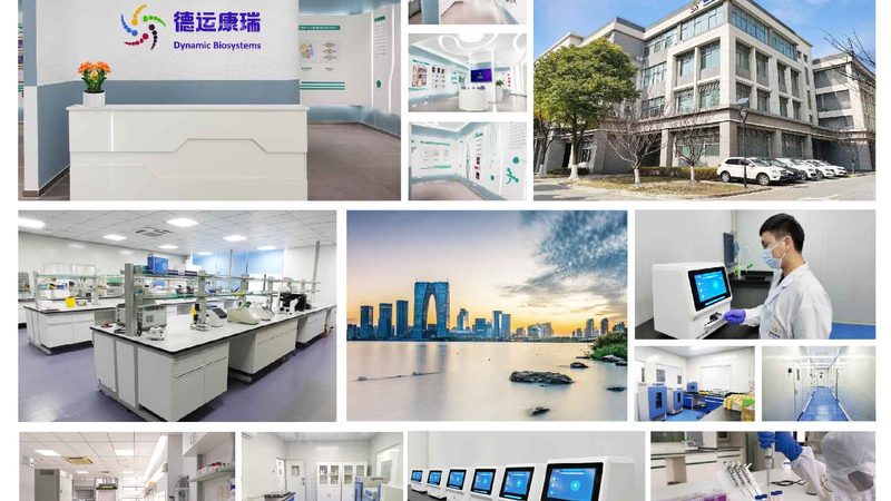 DNA连接酶保存方法：揭秘生物实验中的关键步骤**
